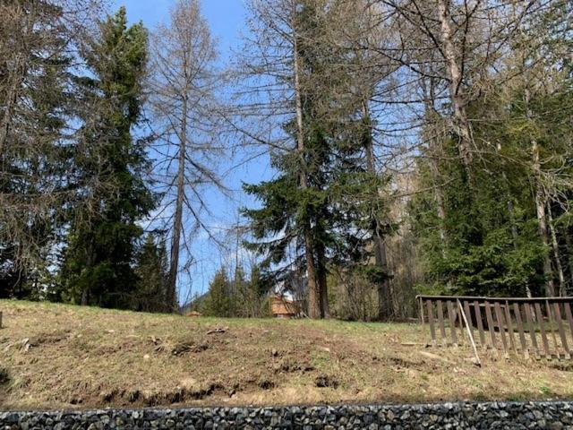 Cozy Central Apartment At A Special Price! Crans-Montana Zewnętrze zdjęcie